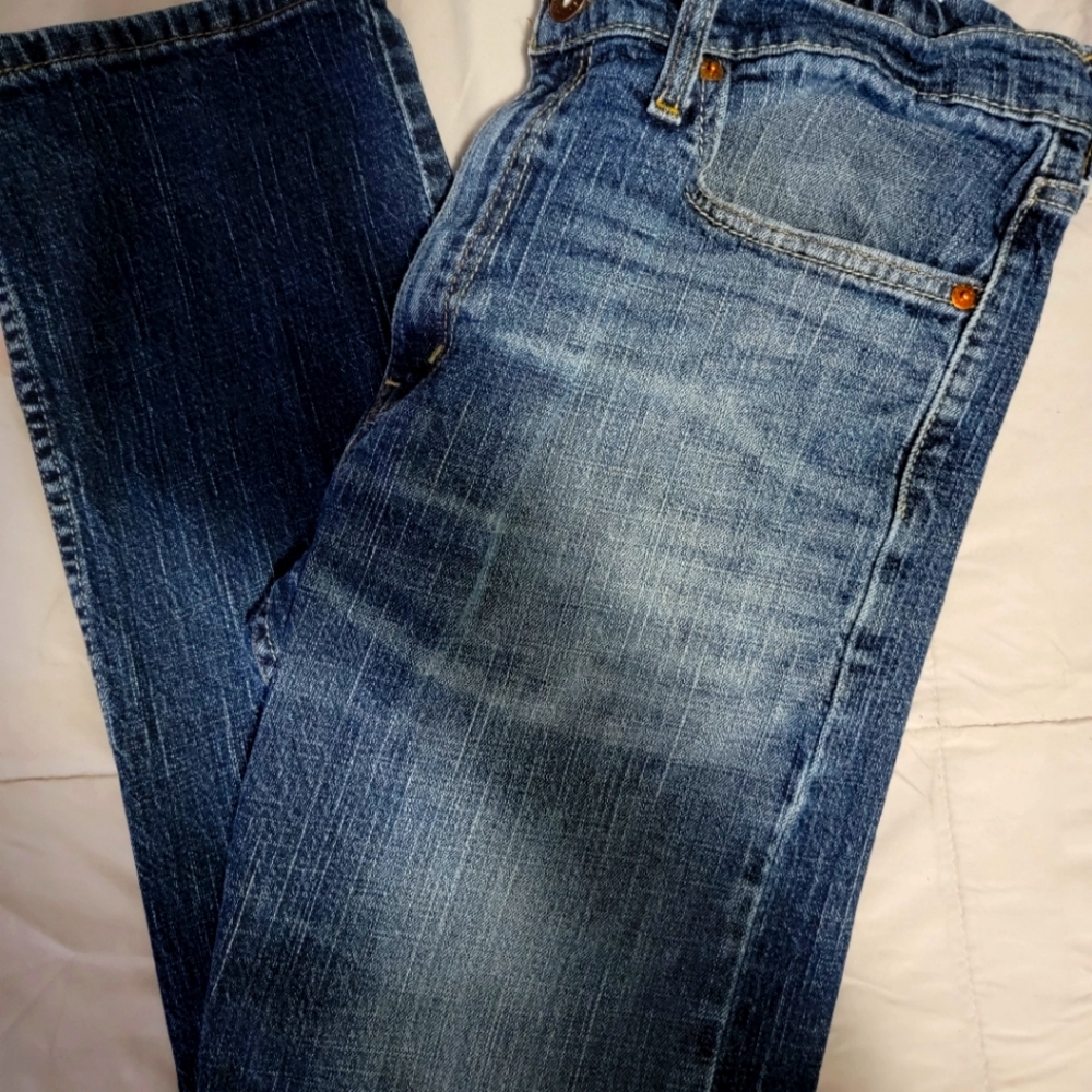 Levi Strauss & Co Blue Jeans